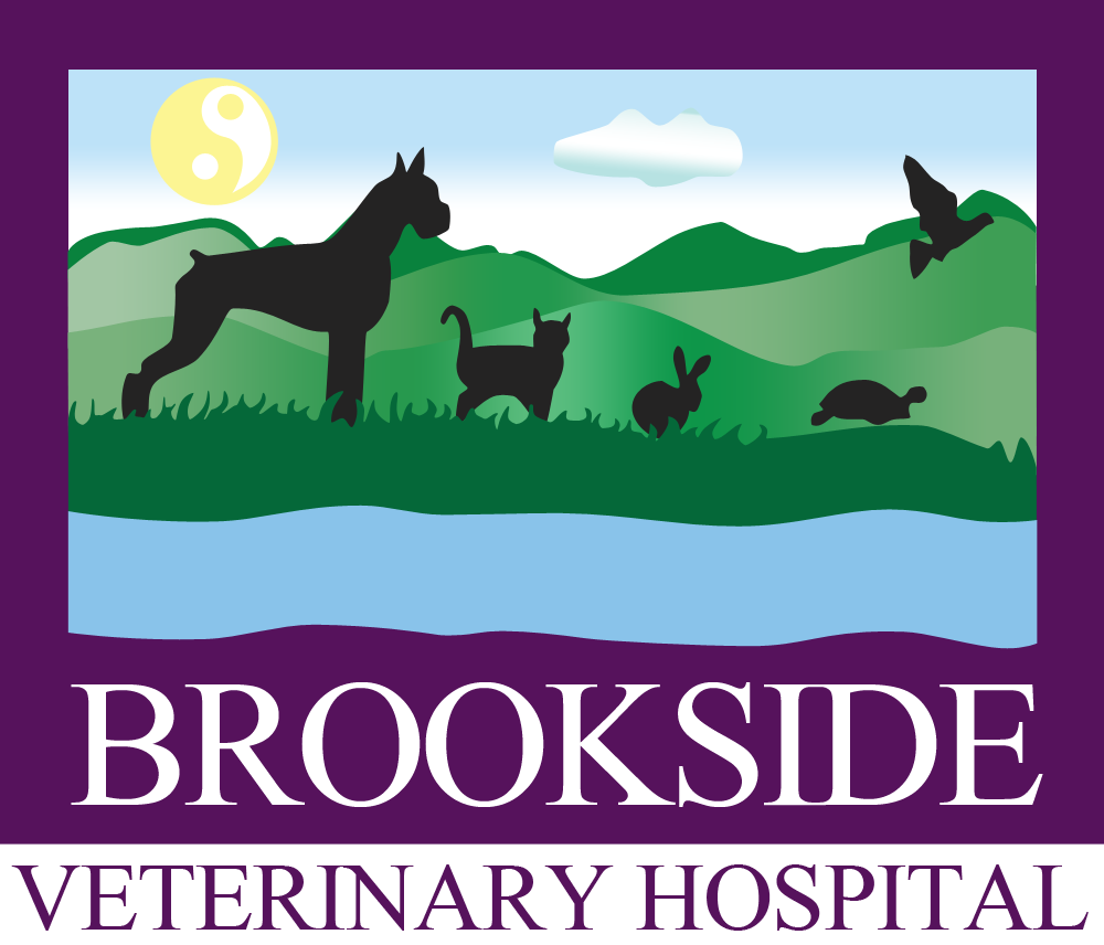 Brookside Veterinary Hospital Arkville, NY Home
